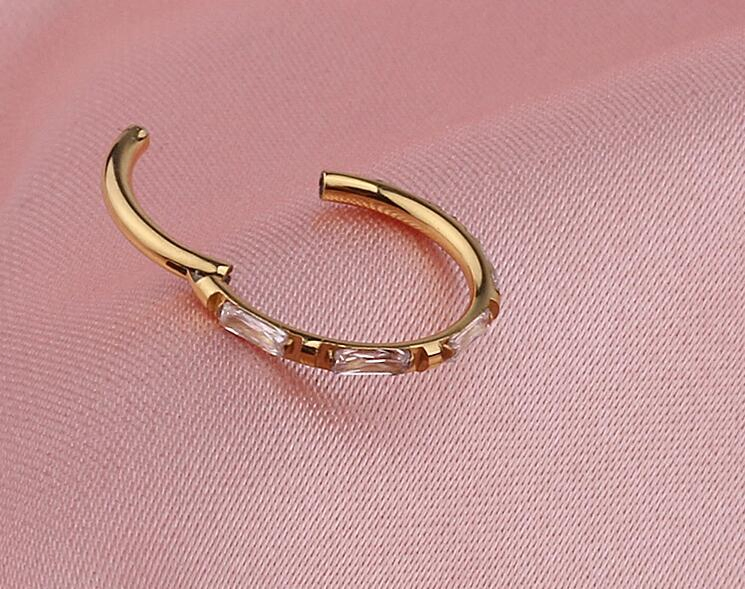 ASTM F136 Titanium Zircon Clicker Piercing Seamless Hinged Segment Ring Clip 16g 12*6mm, 8mm, 10mm