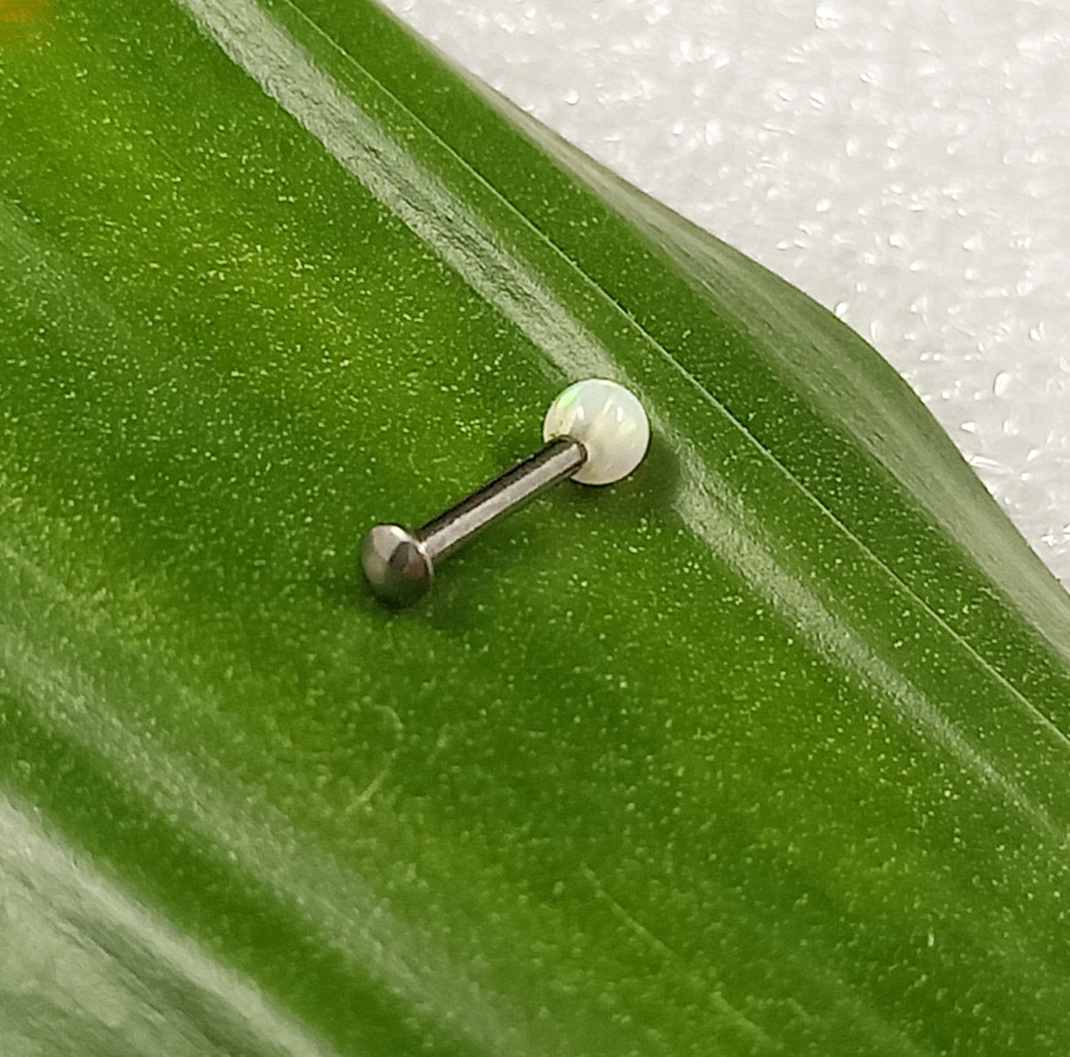 Body Piercings Silver jewelry Stainless Steel Piercing Titanium Piercing Labert Grade 23 Titanium Opal Monroe Tp1959