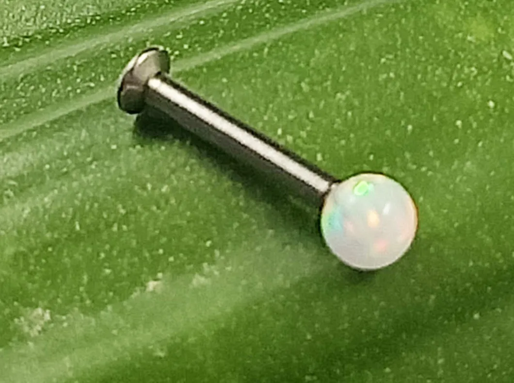 Body Piercings Silver jewelry Stainless Steel Piercing Titanium Piercing Labert Grade 23 Titanium Opal Monroe Tp1959