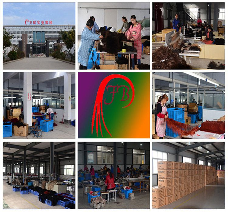 Brazilian Women Hair Afro Kinky Curl Hair Extension