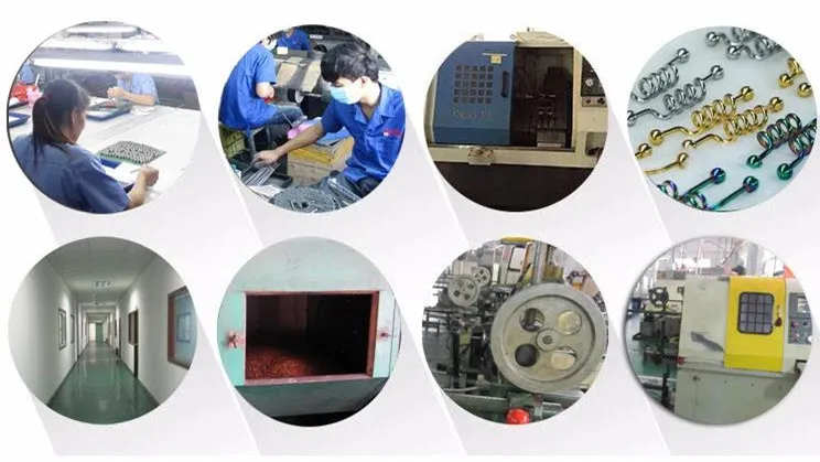 Bright Shine 316L Surgical Stainless Steel Jewelry Piercings Hinged Segment Ring