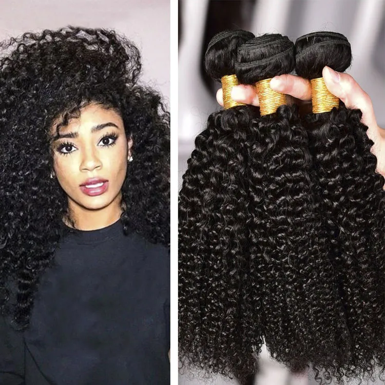 Cuticle Aligned Indian Curly Hair, Natural Hair Raw Burmese Curly Hair, Curly Brazilian Hair