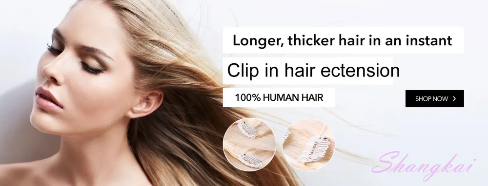 Denghao Seamless Clip Ins Hair 100% Brazilian Virgin Remy Human Hair Extensions