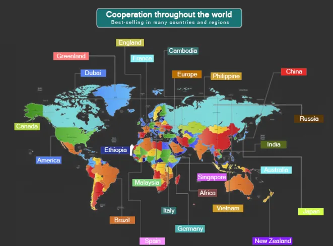 Factory Price Cheap 18K Gold Plated Stainless Steel Fashion Belcher Rolo Chain Jewelry Bangle Bracelet Necklace for Pendants