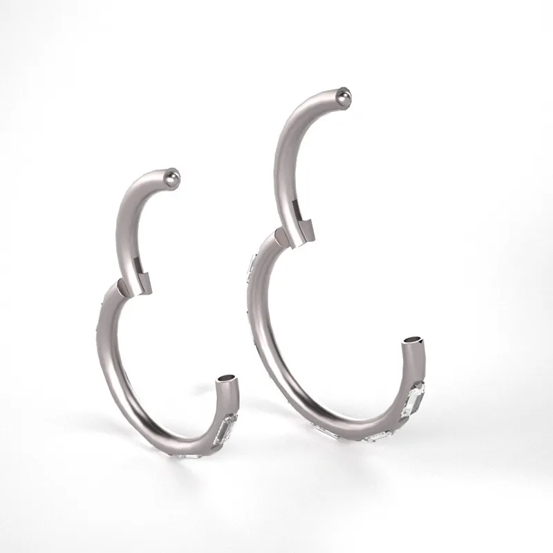 G23 Titanium Hinged Body Piercing Jewelry Lip Rings Septum Rings and Nose Rings Hoops for Women Men