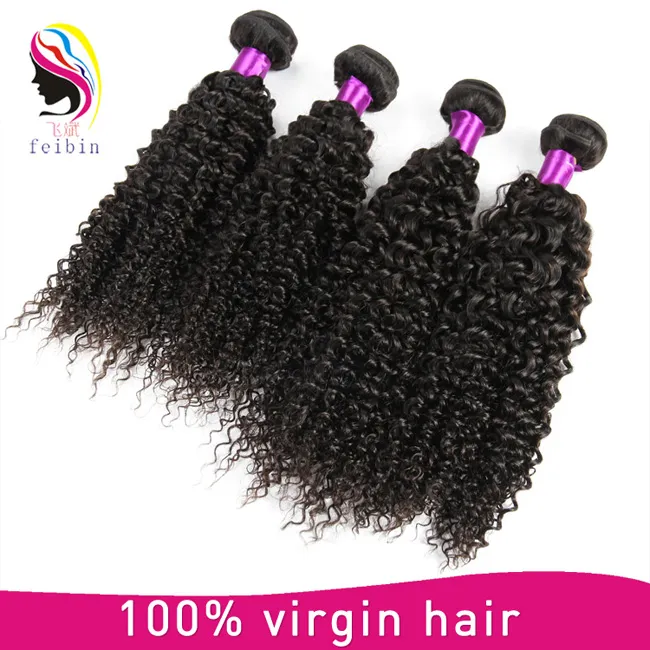 Human Brazilian Virgin Hair Afro Kinky Bulk