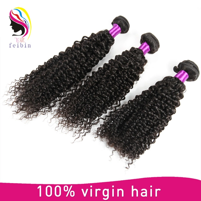 Human Brazilian Virgin Hair Afro Kinky Bulk