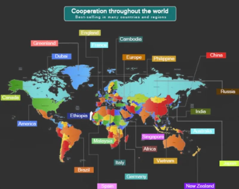 Popular Hammered Curb Chain Stainless Steel Jewelry Necklace