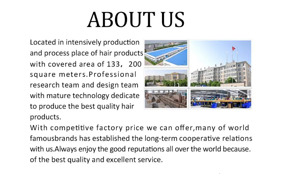 Wholesale Top Quality Cuticle Aligned Natural Hair Weft Unprocessed Virgin Raw Burmese Hair Raw Virgin Burmese Curly Hair Bundle